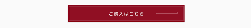 エーメイク 購入ボタン